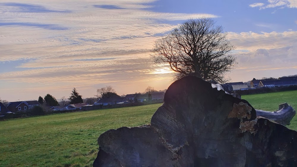 Field Lane Recreation Ground