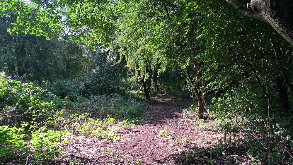 Milner Royd Nature Park